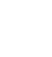 Diesel Repair